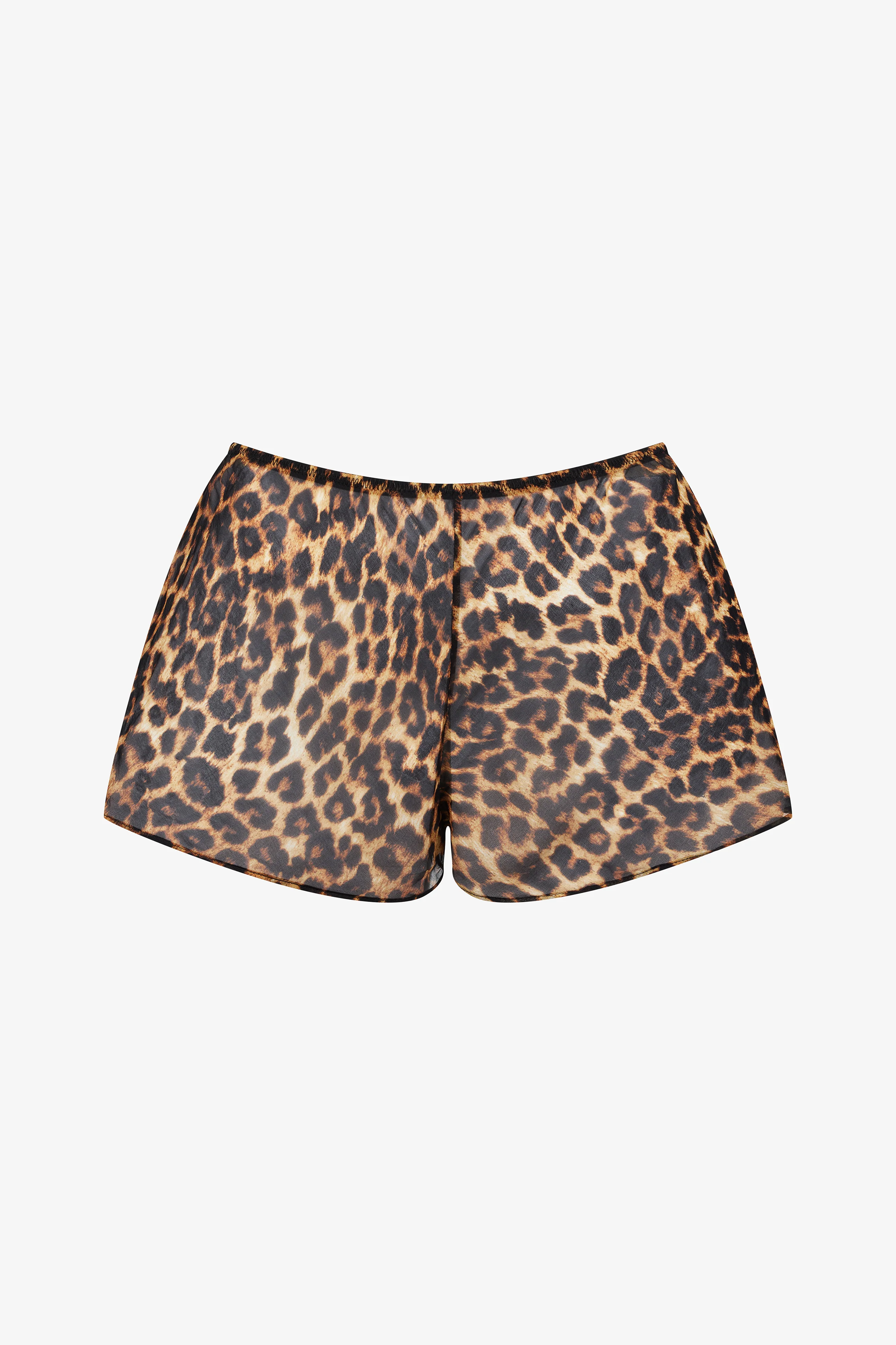 Shorts - Safari - Image 2